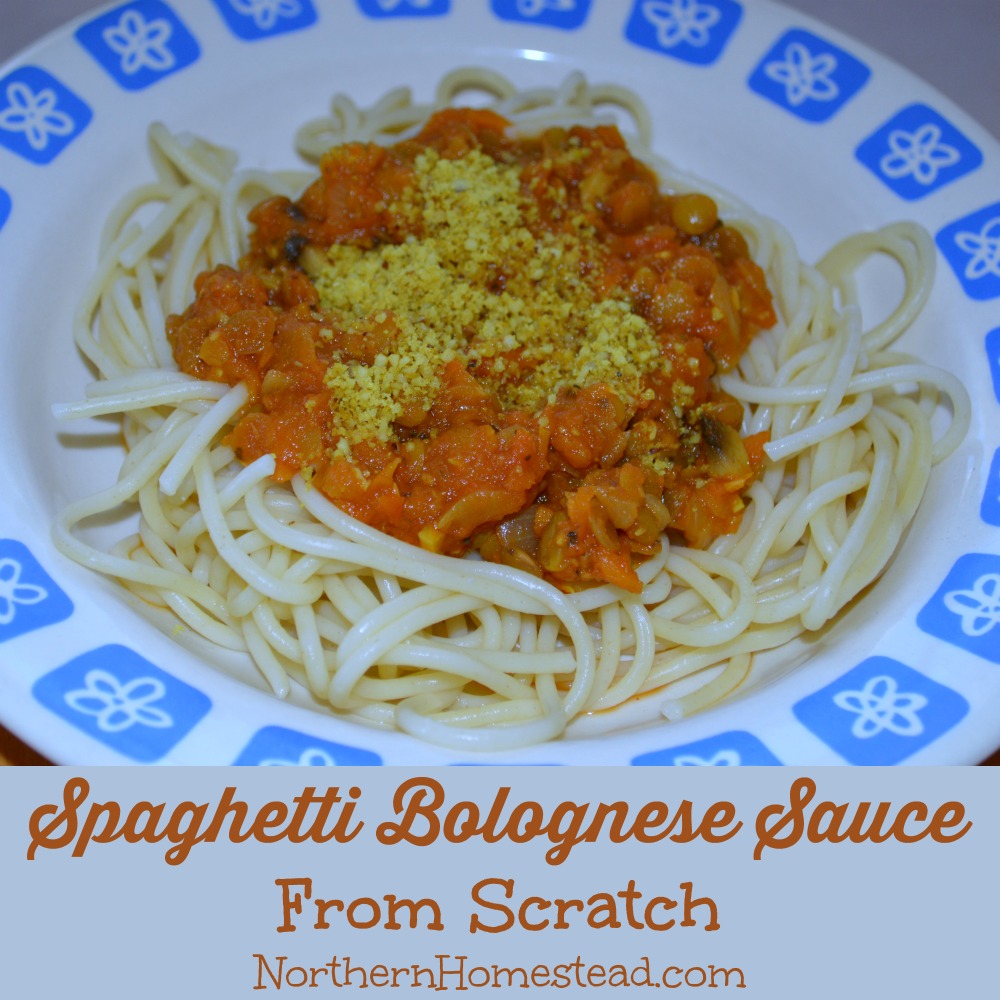 Spaghetti Bolognese Sauce From Scratch - Northern Homestead