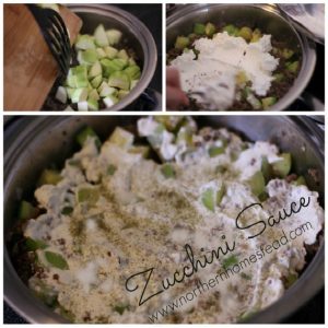 Rice with Zucchini Sauce Recipe is one of our favorite. Sour cream gives this dish a special touch, totally different from the tomato combinations.