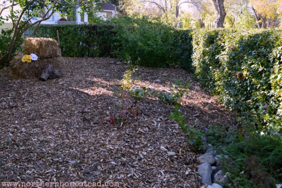 Wood Chips - Turn a yard into a garden