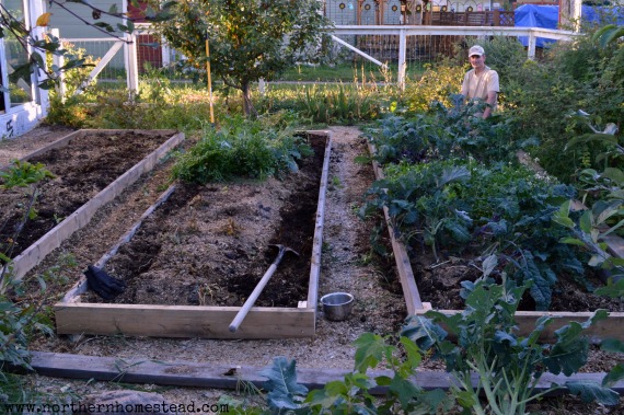 Raised garden beds - Garden Update September 2014