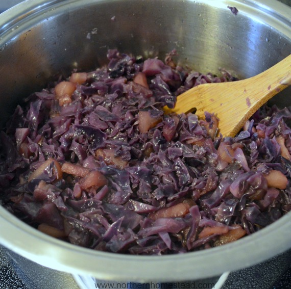 Apfelrotkohl (Red Cabbage with Apples) Recipe