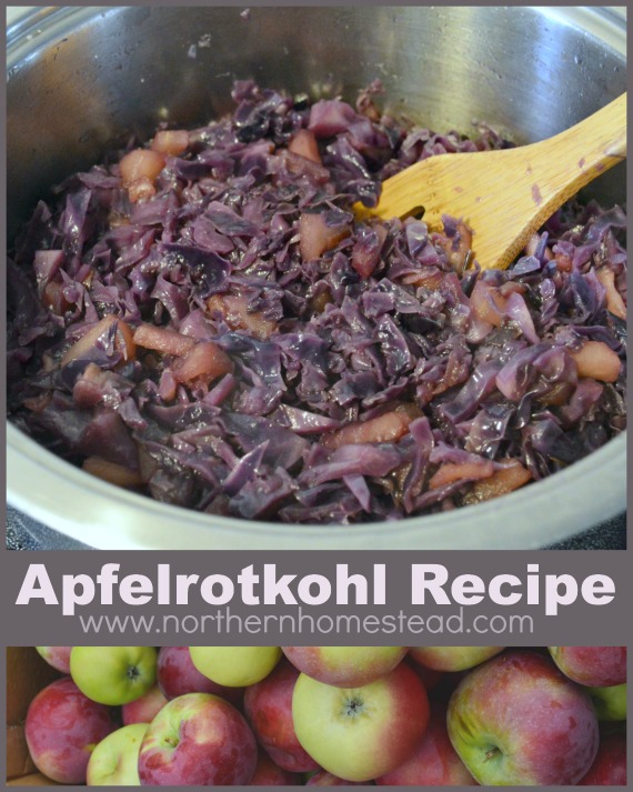 Apfelrotkohl Red Cabbage with Apples Recipe