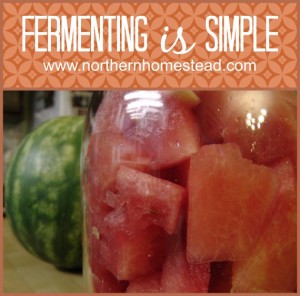 I want to encourage you to start fermenting, fermenting is simple! With this simple brine you can ferment almost anything without any special equipment.