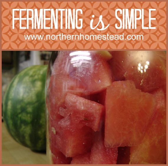 I want to encourage you to start fermenting, fermenting is simple! With this simple brine you can ferment almost anything without any special equipment.