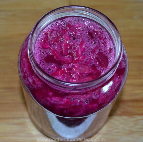 Fermenting is Simple - Learn the Basics