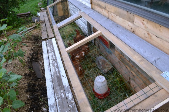 Turn an Old Garage Into a Food Production Garage