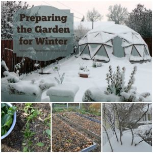 Preparing the garden for winter