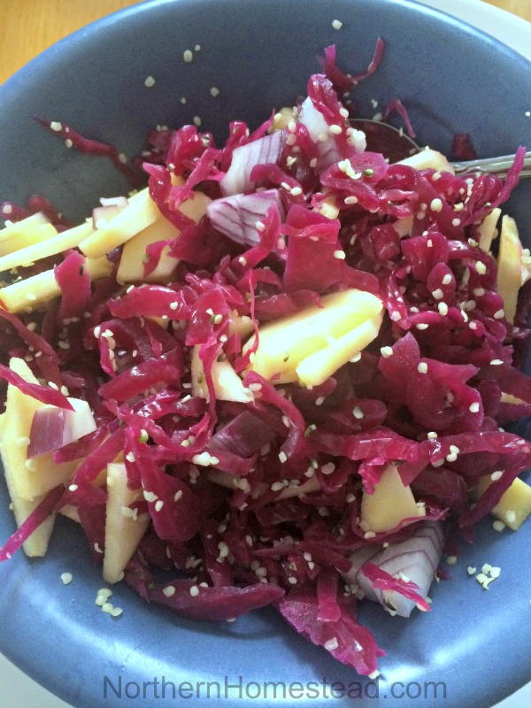 Apfelrotkohl (Red Cabbage with Apples) Recipe
