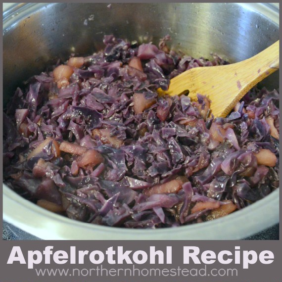 Apfelrotkohl Red Cabbage with Apples Recipe