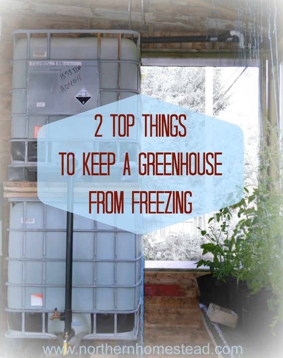 With good insulation, lots of thermal mass and a back up heating you can keep a greenhouse from freezing for winter vegetable growing up north in the cold.