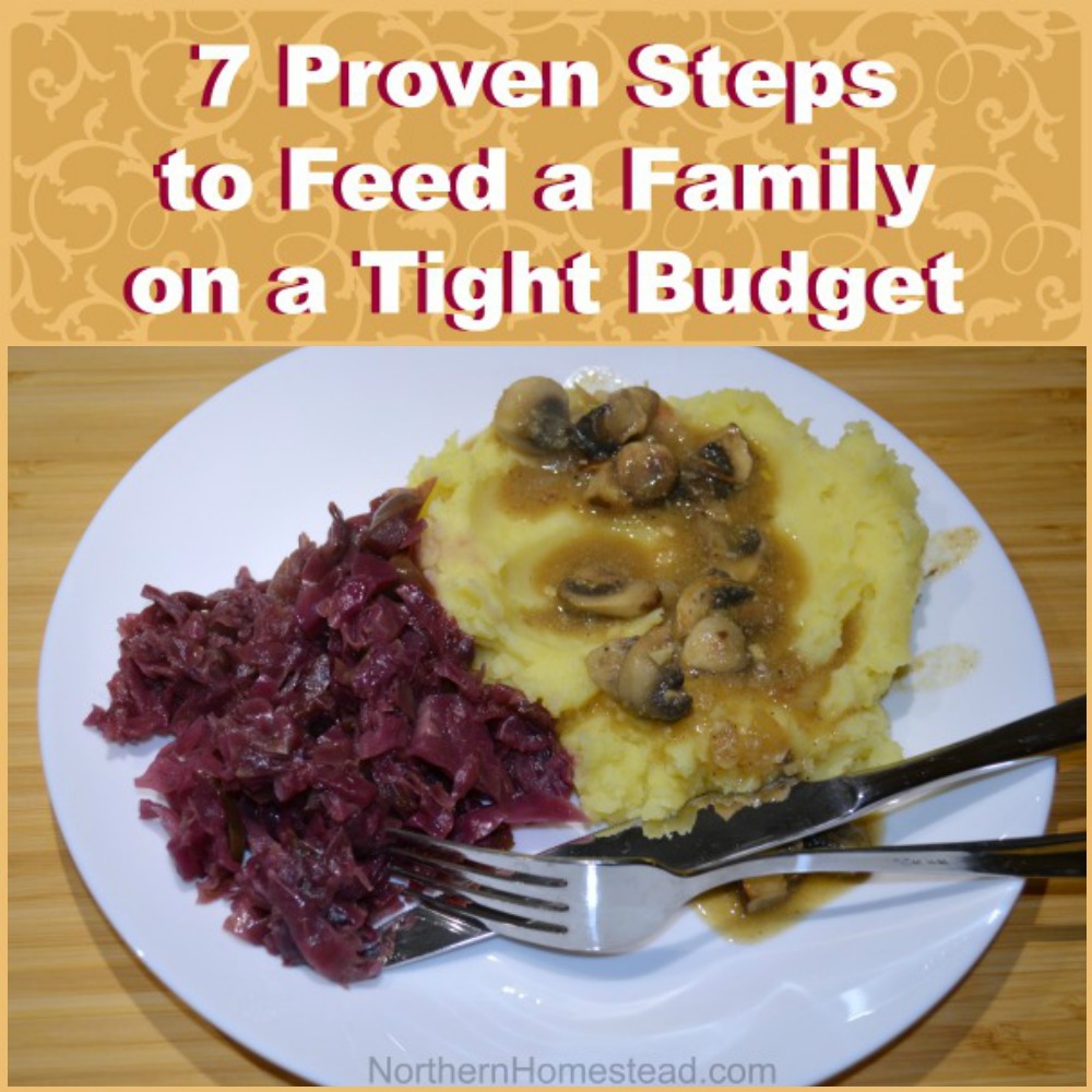 7 Proven Steps to Feed a Family on a Tight Budget