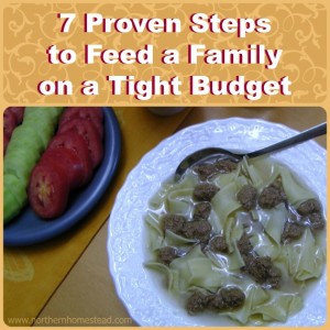 7 Proven Steps to Feed a Family on a Tight Budget