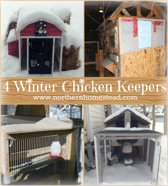 Keeping Chickens in Serious Winter like zone 3 winter, where temperatures drop to -40. Here are 4 winter chicken keepers sharing their experiences.