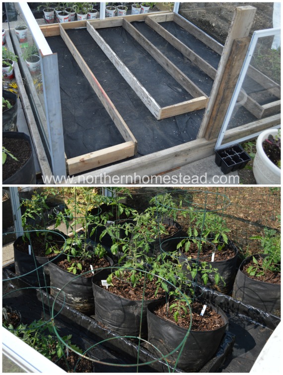 https://northernhomestead.com/wp-content/uploads/2015/02/How-to-Grow-in-Grow-Bags-Watering-Boxes.jpg