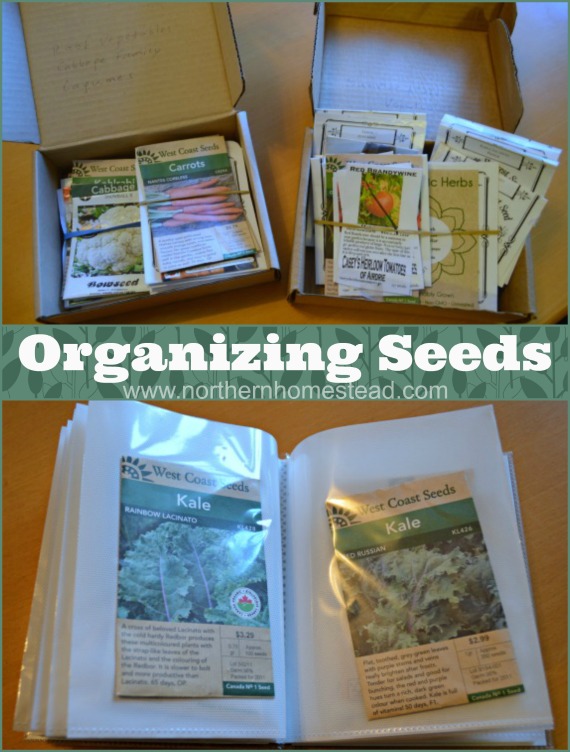 Organizing Seeds