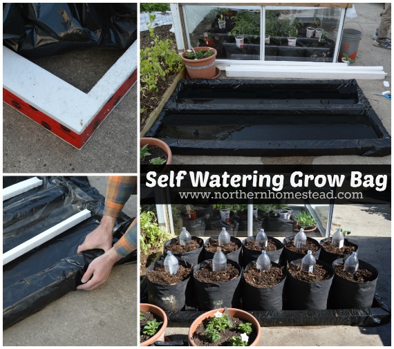 Start a Grow Bag Garden and Water It EASILY 