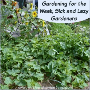 Here are 7 practical things to make gardening for the weak, sick and lazy gardeners more enjoyable and successful. Proven gardening methods anyone can do.