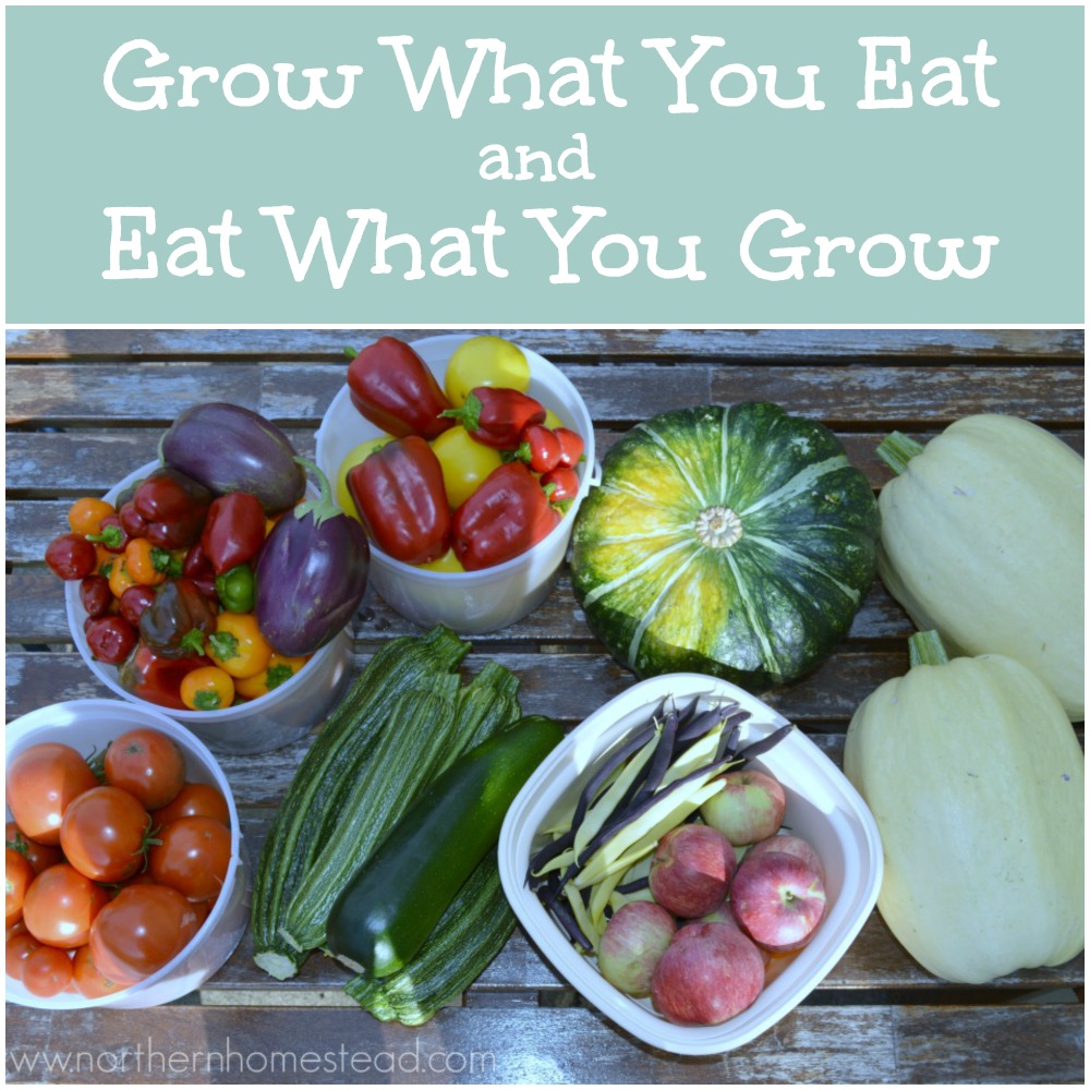 Grow What You Eat and Eat What You Grow