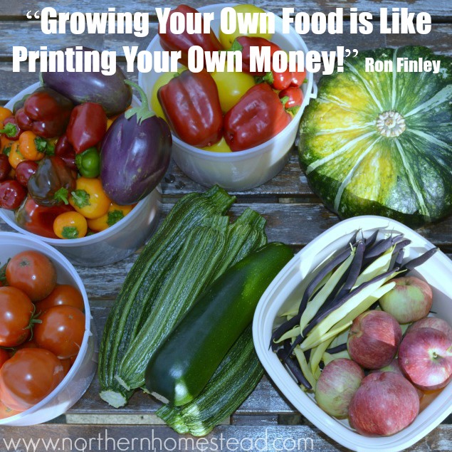 Growing Your Own Food is Like Printing Your Own Money!