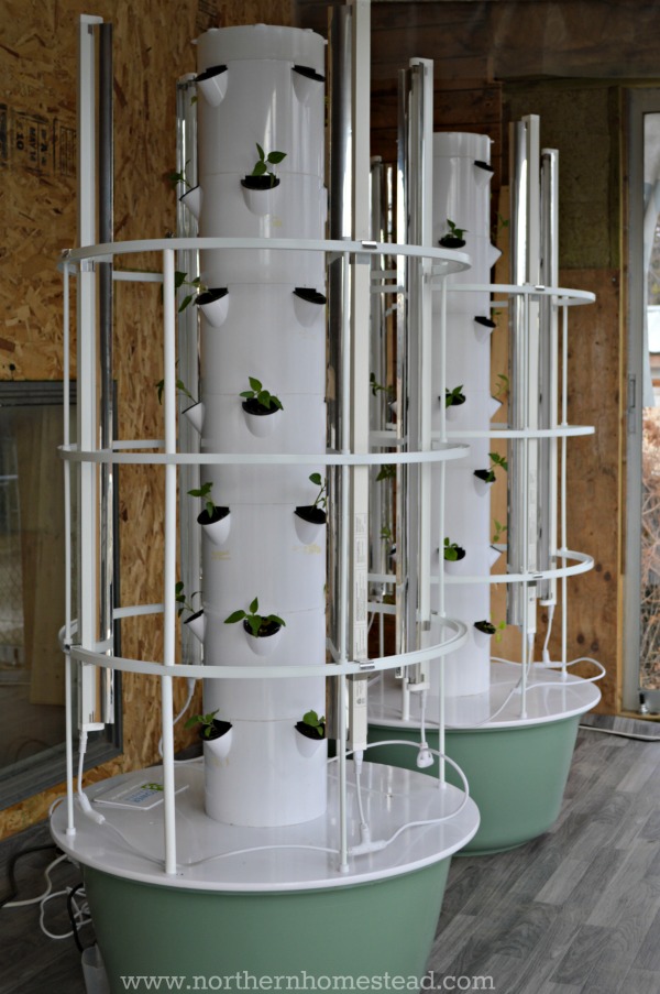 Our Experience Growing the Tower Garden in Cold Climate