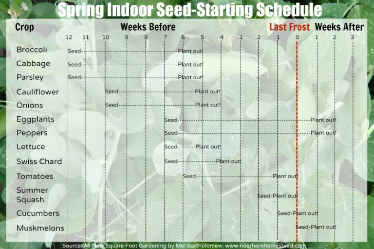 Spring Indoor Seed-Starting Schedule - Free Printable - Northern Homestead