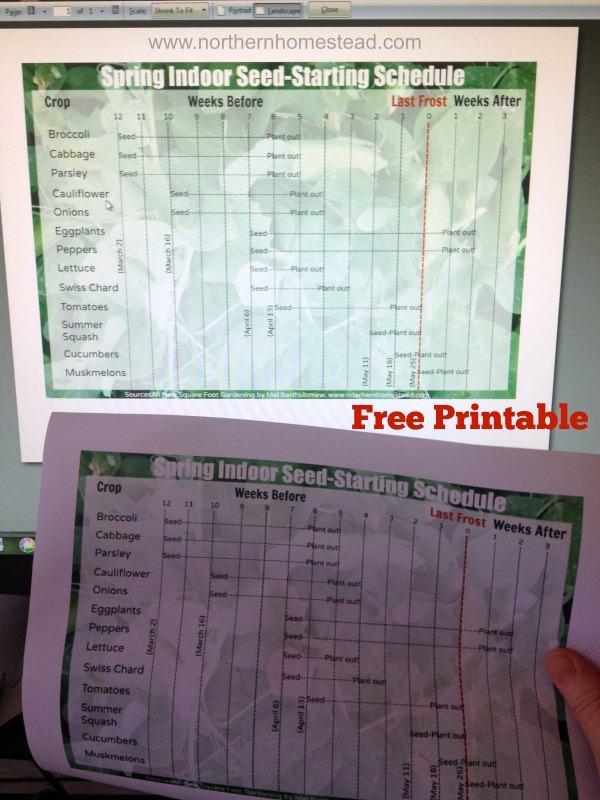 Starting seeds indooroors free printable