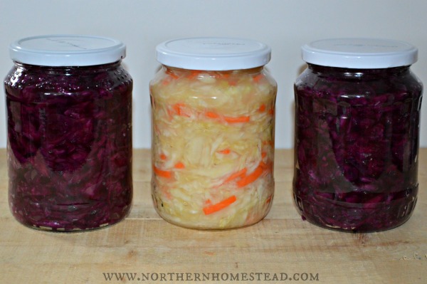 Homemade Sauerkraut the Simple Way (with carrots or apples)