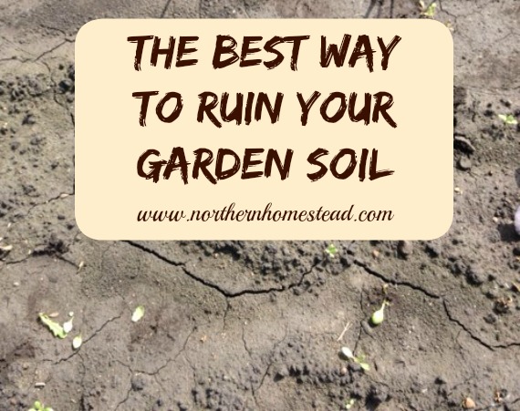 The Best Way to Ruin Your Garden Soil - till it all the time