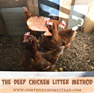 The Deep Chicken Litter Method