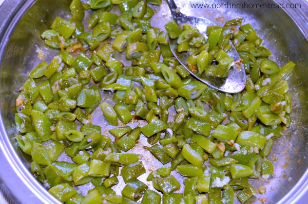 Scarlet Runner Beans