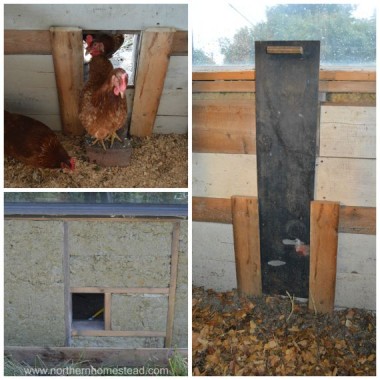 Free chicken coop from recycled doors