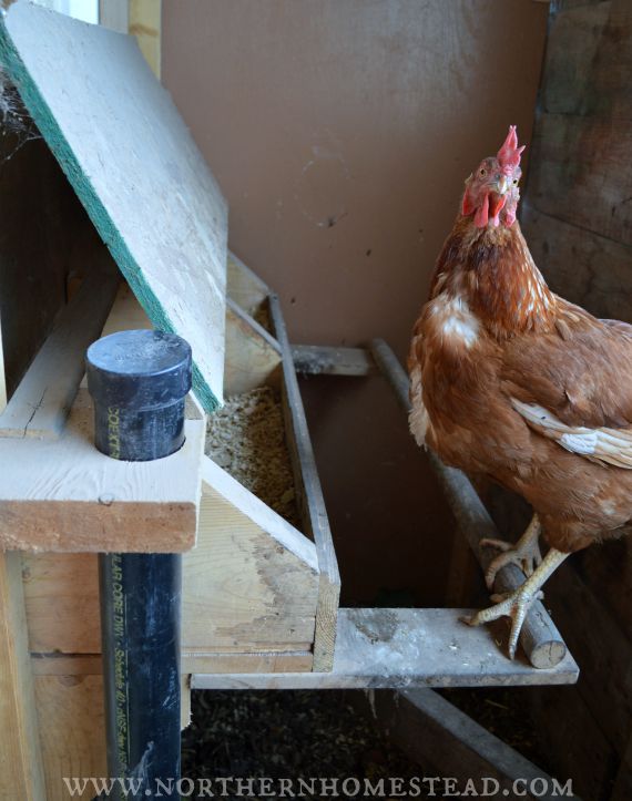 Free Chicken Coop From Recycled Doors