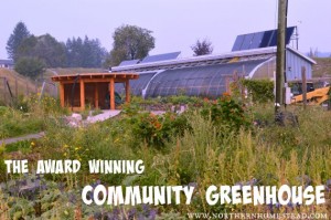 The Award Winning Community Greenhouse