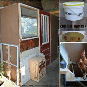 The free indoor chicken coop from recycled doors is spacious, bright, easy accessible and airy. With a pipe chicken feeder, and nipple water bucket.