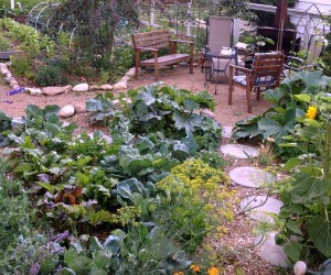 Growing your own food year round using organic methods. Here you will find many proven gardening tips and ideas.