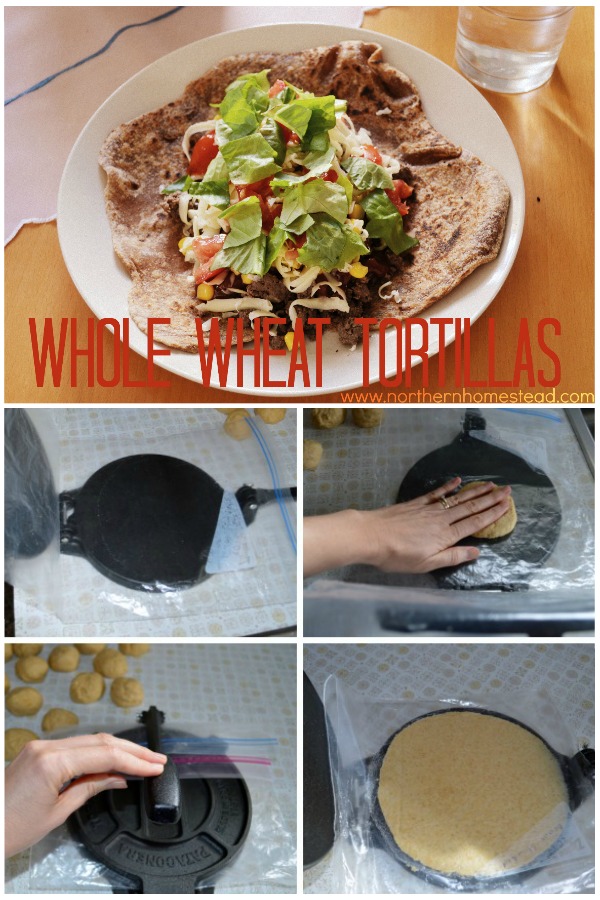 What makes this homemade tortillas the best is the whole grain Kamut flour. You will never buy tortillas again. A tortilla press works great for Kamut Tortillas.