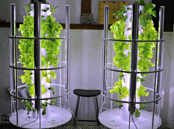 7 Reasons To Grow An Aeroponic Tower Garden Northern Homestead