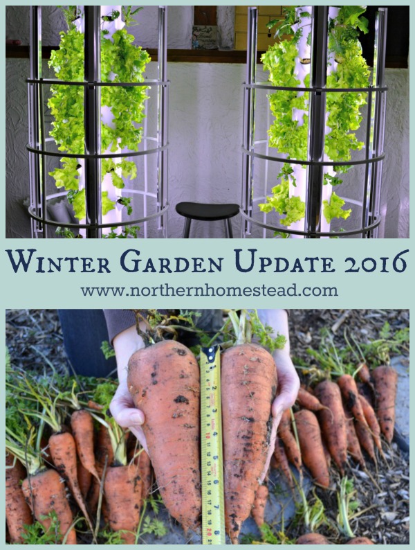 Winter Garden Update 2016
