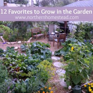 12 Favorites to Grow in the Garden