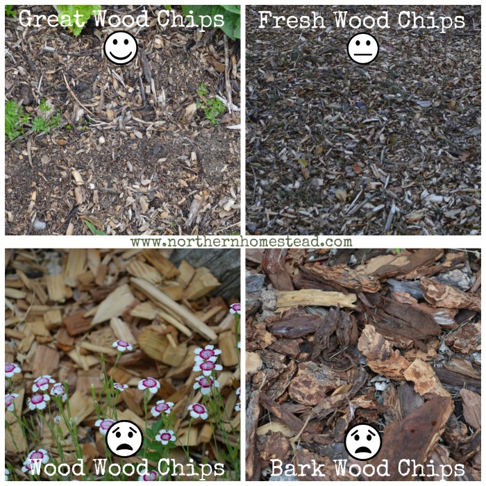 4 types of wood chips - Back to Eden Garden