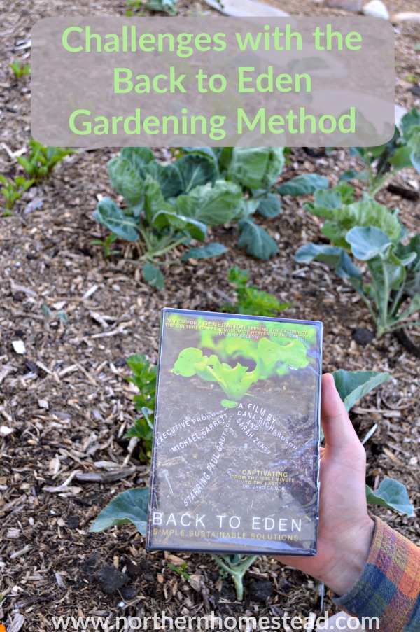 Challenges with the no-till Back to Eden Gardening Method. An honest review and tips to avoid the problems. This will help you to a good start.
