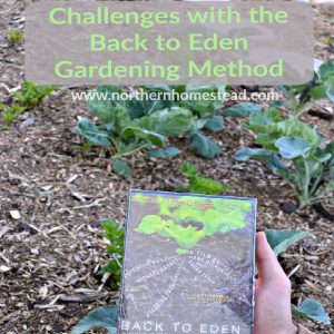 Challenges with the no-till Back to Eden Gardening Method. An honest review and tips to avoid the problems. This will help you to a good start.