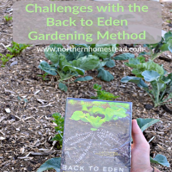 Challenges With The Back To Eden Method Northern Homestead