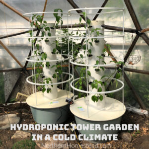 Growing a Hydroponic Tower Garden in a Cold Climate