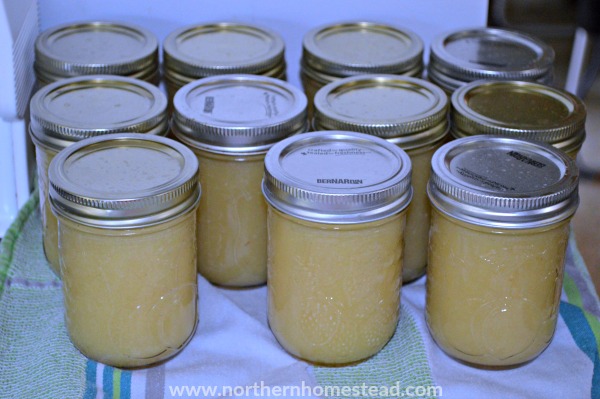 A Dozen Ways to Preserve Apples - Apple Sauce