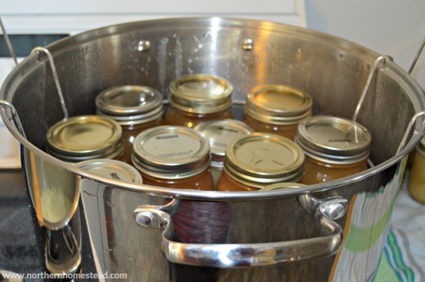 Canned Apple Sauce and Apple Jam