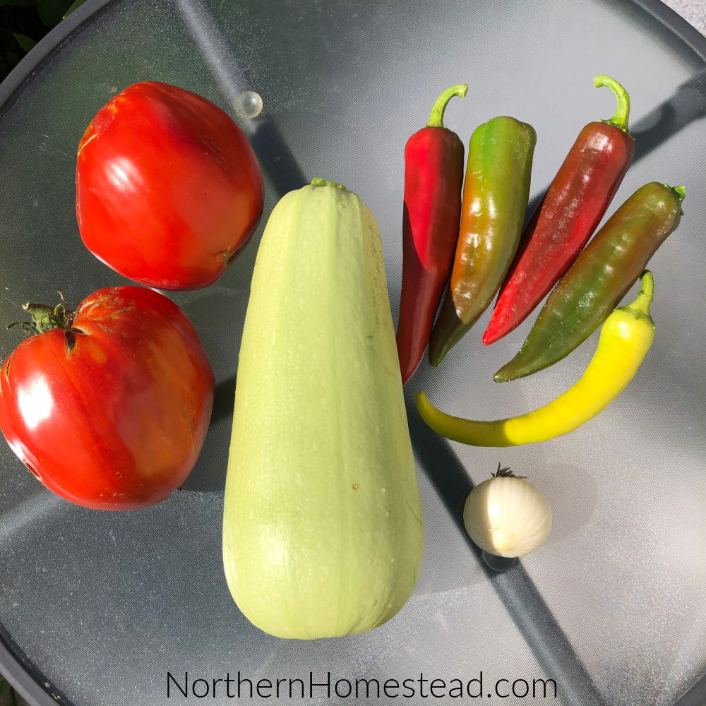 Canned Zucchini Tongue Recipe