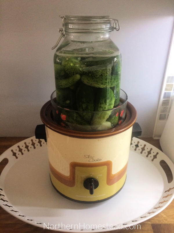 Fermenting is Simple - Learn the Basics