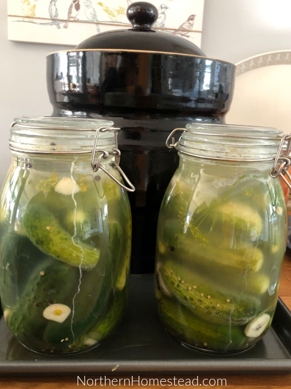 Fermenting is Simple - Learn the Basics