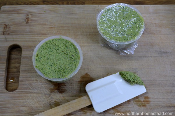 Plant based garlic scape pesto